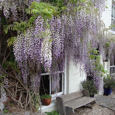Half Moon House Apartment Hay-On-Wye Exterior photo