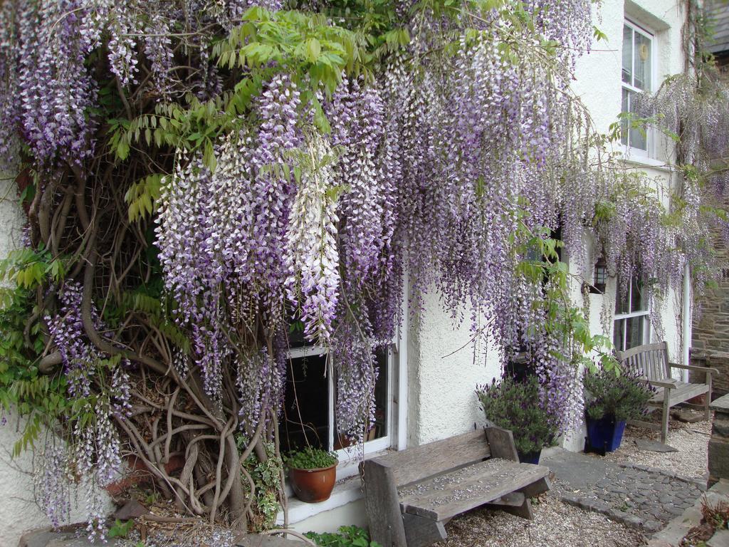 Half Moon House Apartment Hay-On-Wye Exterior photo